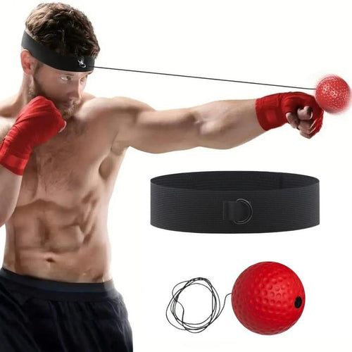 🎄New Style Boxing Reflex Ball