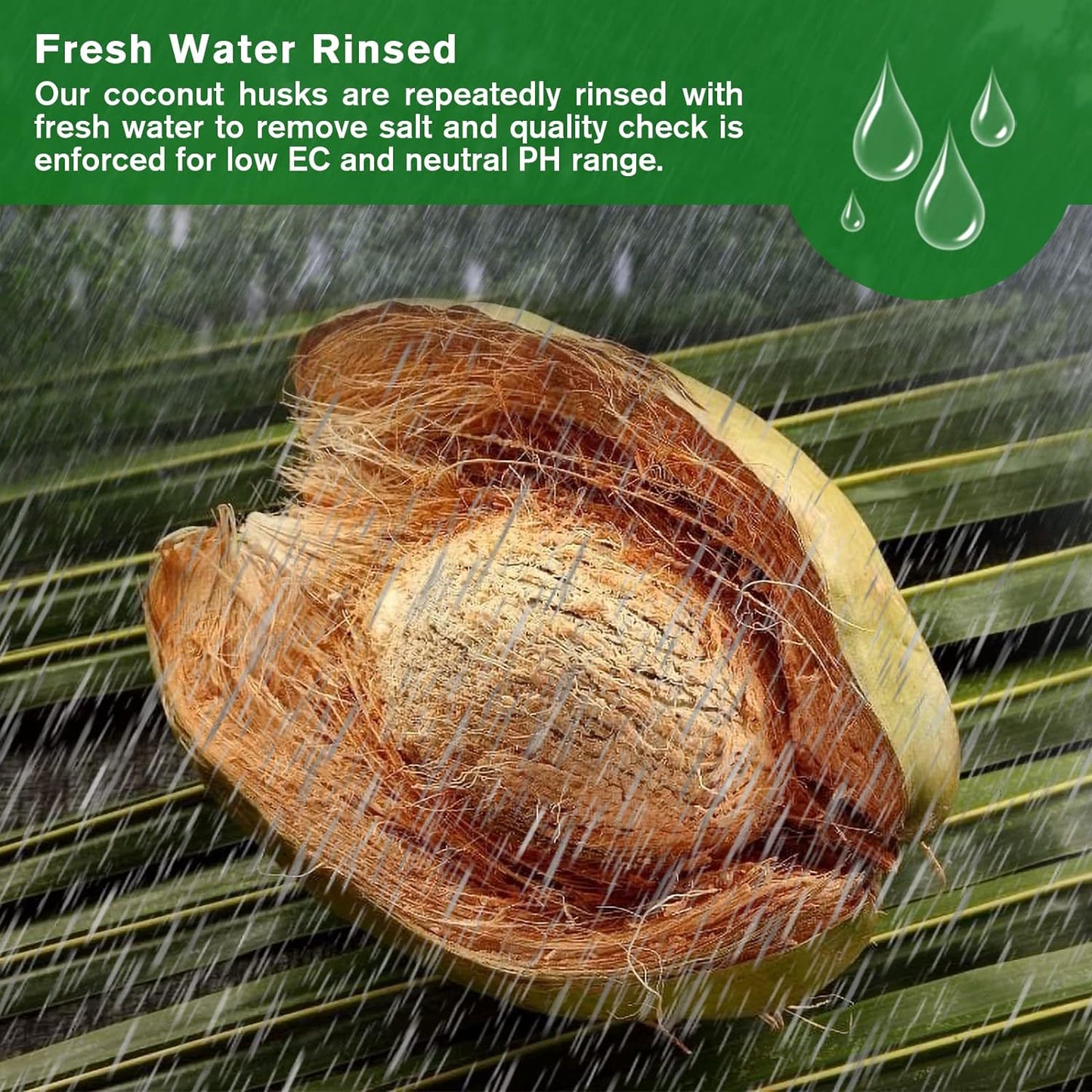 🔥LAST DAY 50% OFF🌱Premium Organic Coconut Coir Bricks for Plants