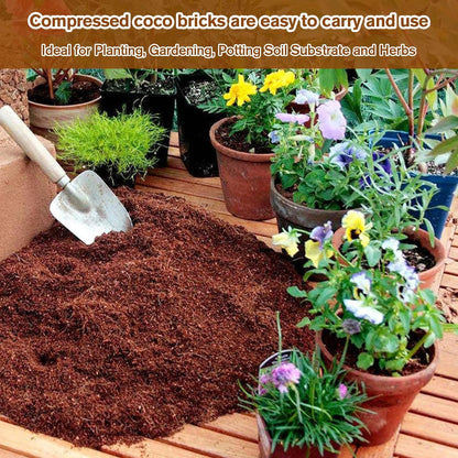 🔥LAST DAY 50% OFF🌱Premium Organic Coconut Coir Bricks for Plants