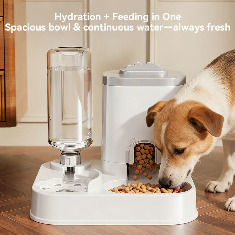 😍2nd Item 60% OFF🌸Automatic Pet Feeder and Water Dispenser