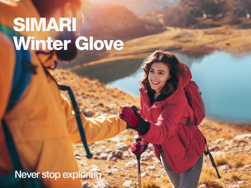 🎄Limited-time offer: 49% off❄️Winter warm gloves - windproof, waterproof, touchscreen 🧤