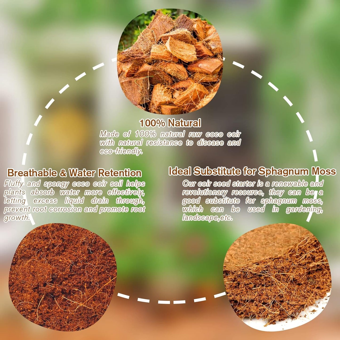 🔥LAST DAY 50% OFF🌱Premium Organic Coconut Coir Bricks for Plants