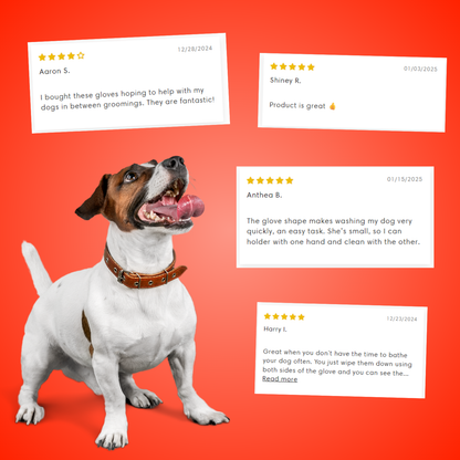 PET Glove Wipes，Freshening Grooming Dog&Cat Disposable 20Pcs