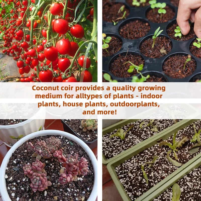 🔥LAST DAY 50% OFF🌱Premium Organic Coconut Coir Bricks for Plants