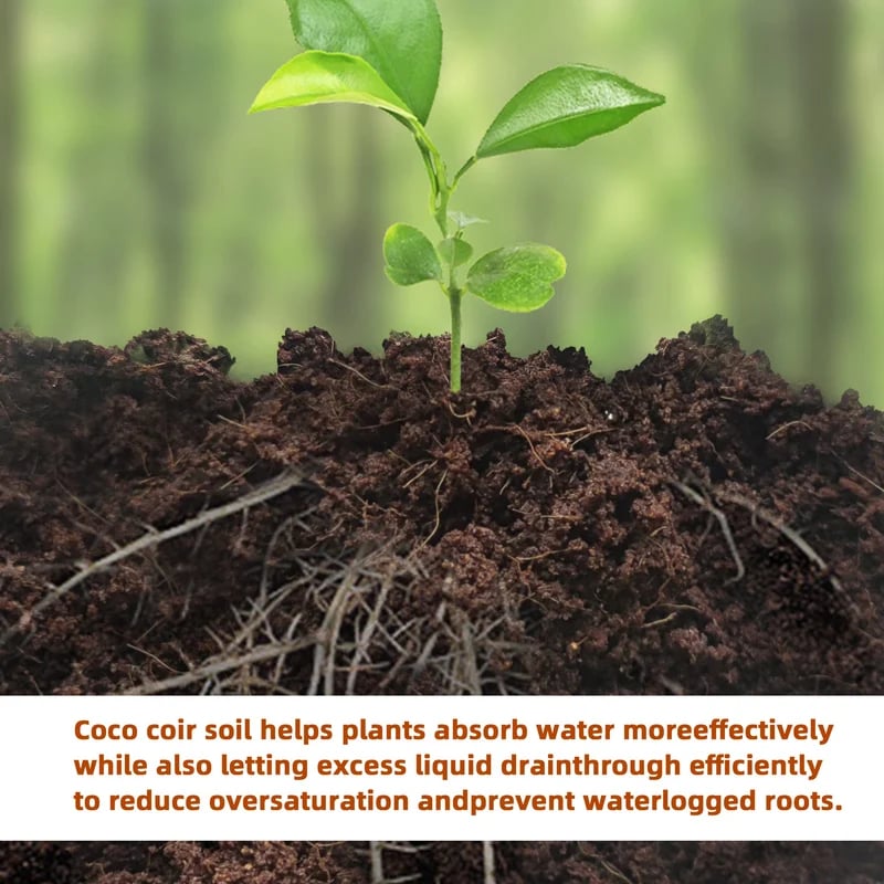 🔥LAST DAY 50% OFF🌱Premium Organic Coconut Coir Bricks for Plants